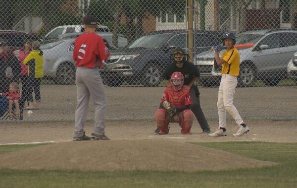 Regina declared as host city for 2019 Baseball Canada Cup U17 – Regina | Globalnews.ca